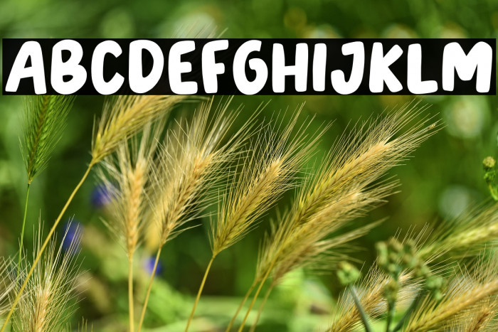 TonightFriend-Regular Example 2