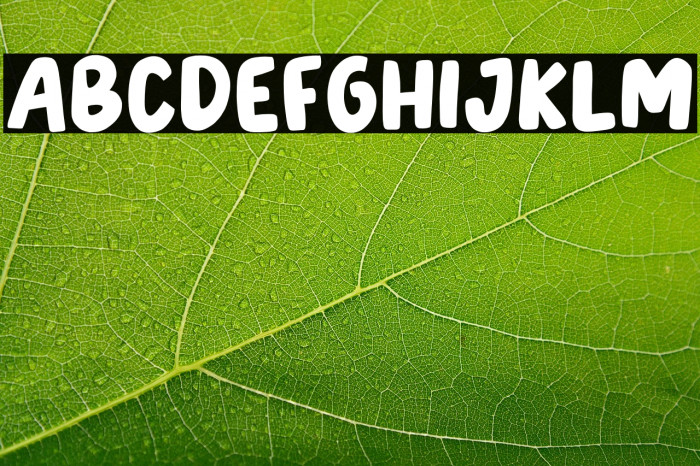 TonightFriend-Regular Example 3