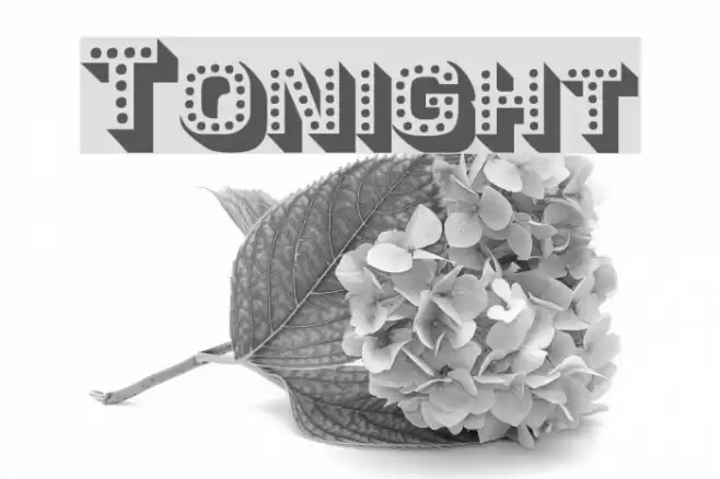 Tonight Font examples