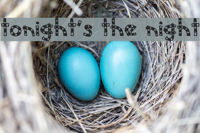 Tonight's the Night Font examples