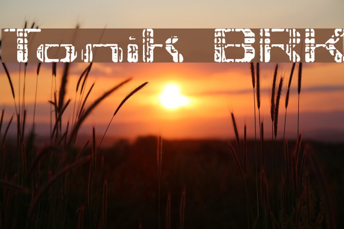Tonik BRK Font examples