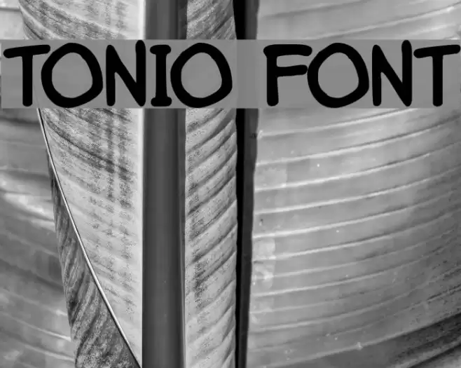 Tonio Font examples