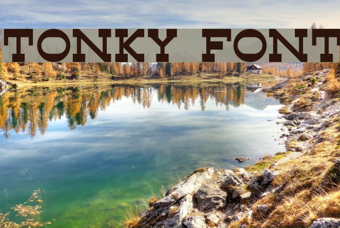 Tonky Font examples
