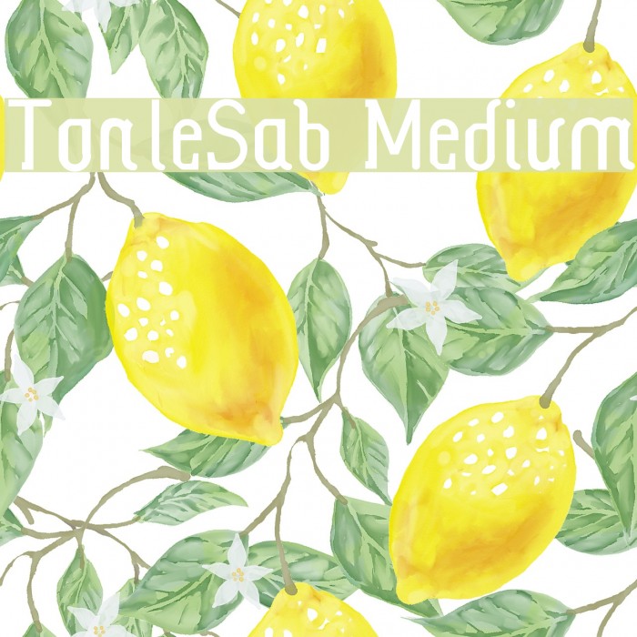 TonleSab Medium Font examples