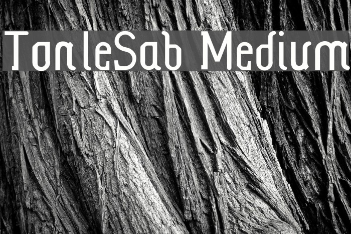 TonleSab Medium Font examples