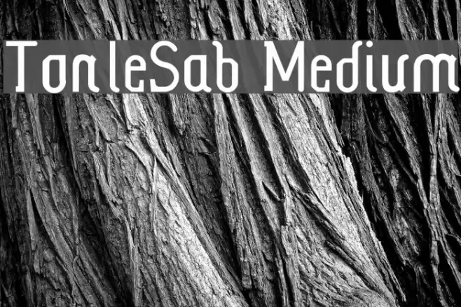 TonleSab Medium फ़ॉन्ट examples