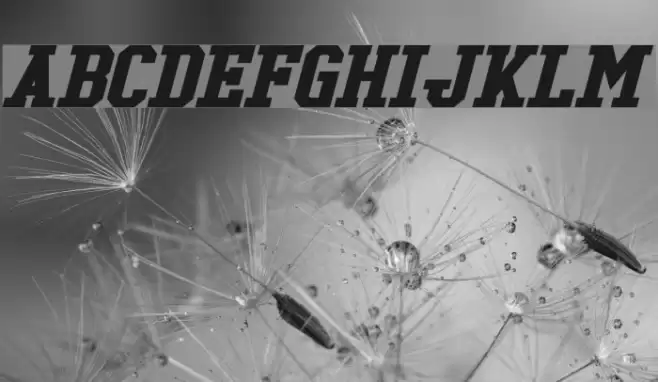 Tonopah Bold Italic Font examples