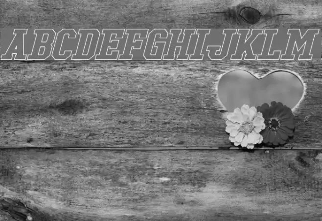 Tonopah Hollow Bold Italic Fonte examples