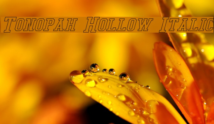 Tonopah Hollow Italic Font examples