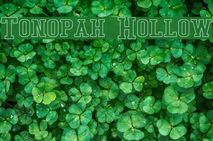 Tonopah Hollow Font examples