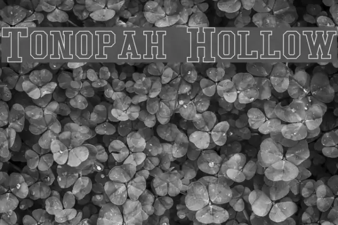Tonopah Hollow Fonte examples