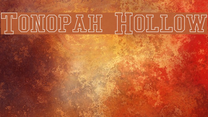 Tonopah Hollow Font examples