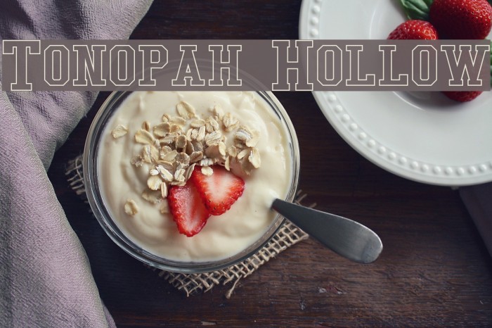 Tonopah Hollow Font examples