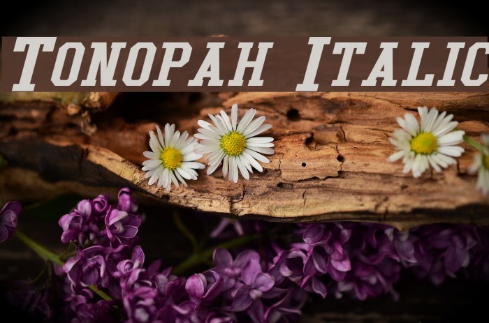Tonopah Italic Schriftart examples