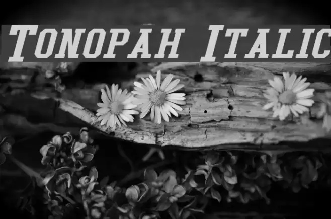 Tonopah Italic Schriftart examples