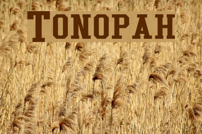 Tonopah Font examples