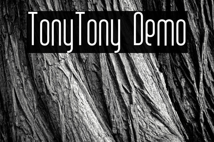 TonyTony Demo Example 2