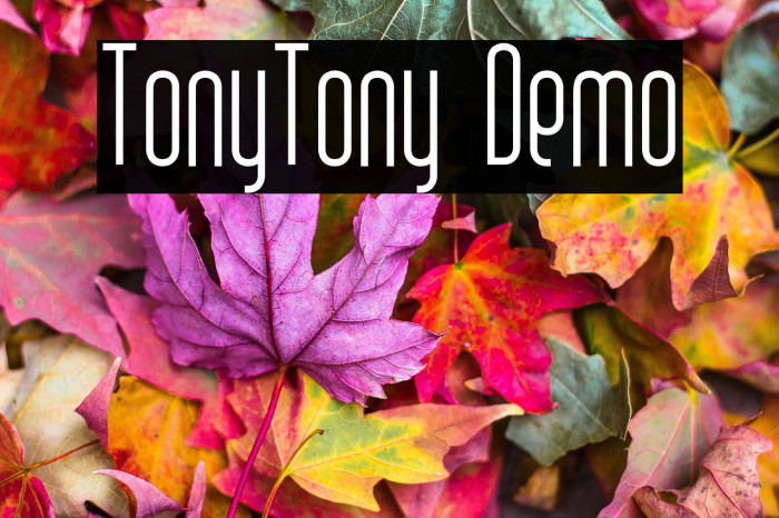 TonyTony Demo Example 3