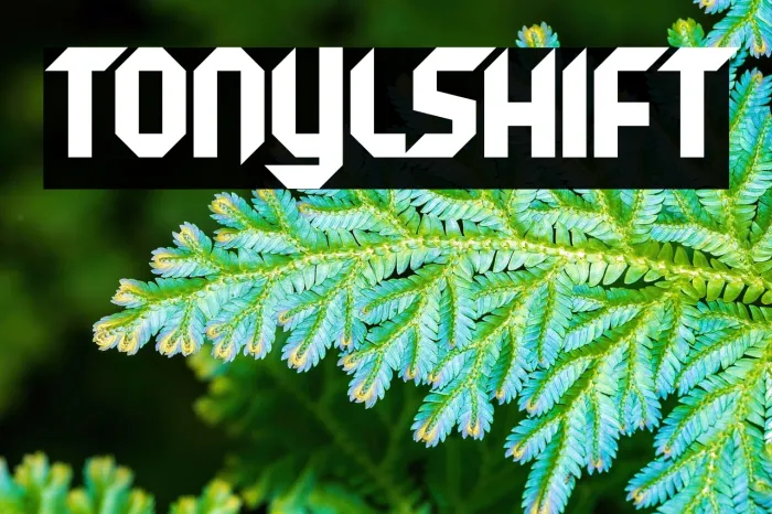 Tonyl Shift Example 3