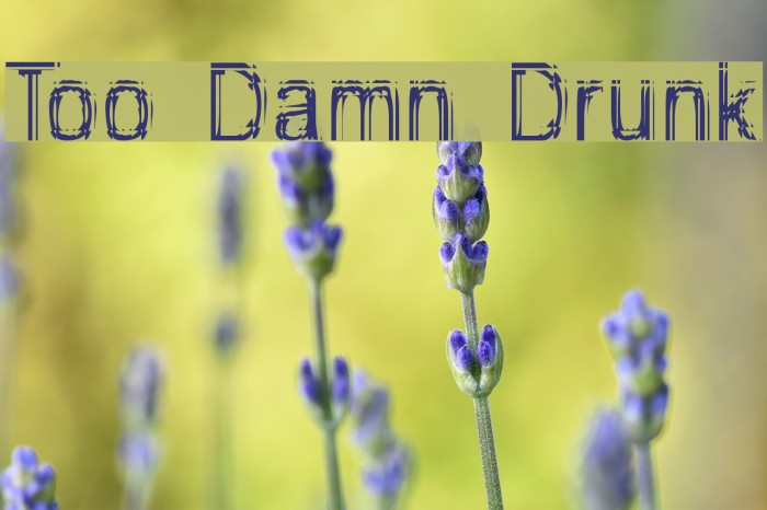 Too Damn Drunk Caratteri examples