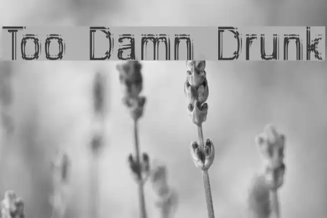 Too Damn Drunk Font examples