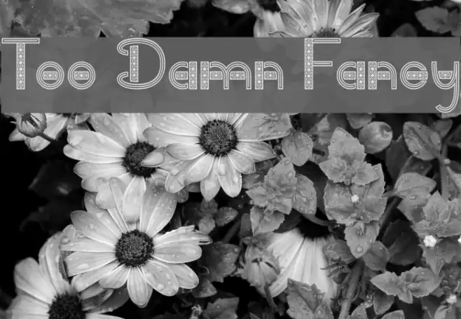 Too Damn Fancy フォント examples