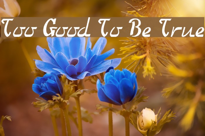 Too Good To Be True Font examples