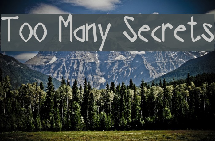 Too Many Secrets لخطوط تنزيل examples