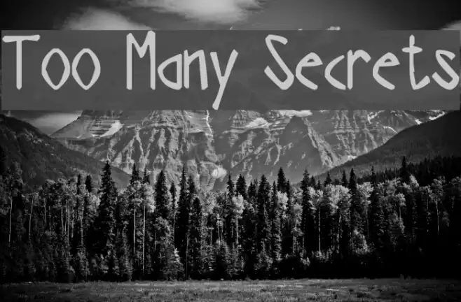 Too Many Secrets خط examples