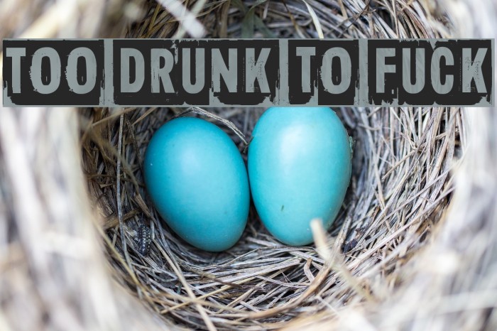 Too drunk to fuck Font examples