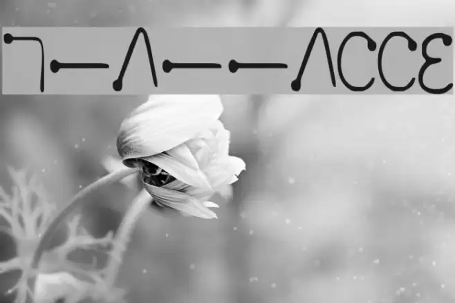 Too lazy to practice Шрифта examples