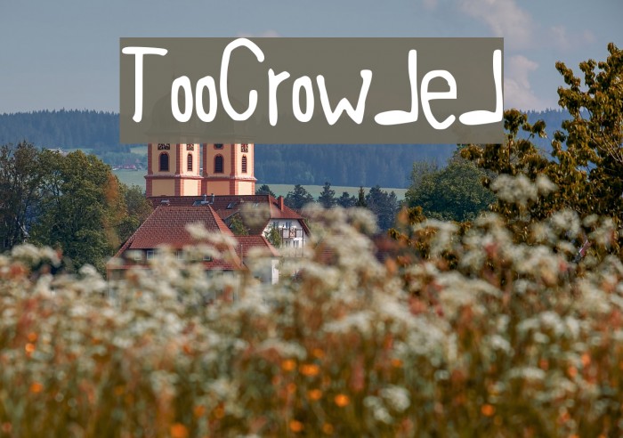 TooCrowded Font examples