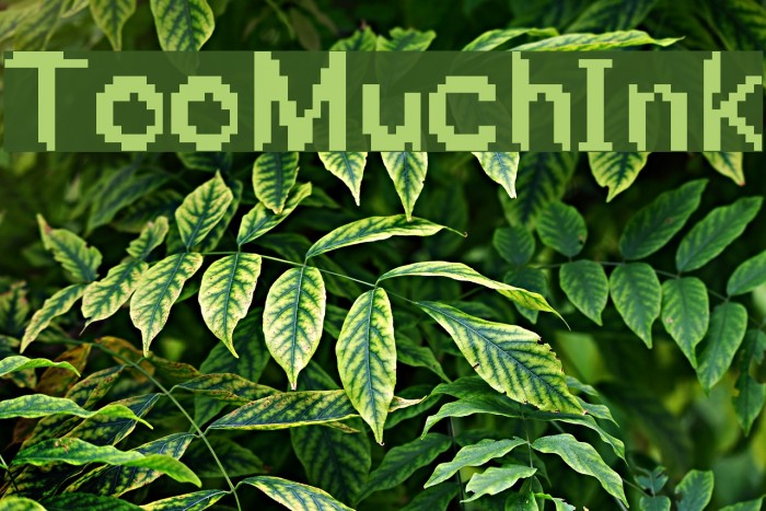 TooMuchInk Font examples