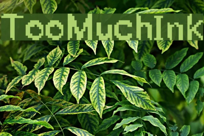 TooMuchInk Example 1