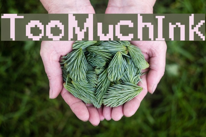 TooMuchInk Font examples