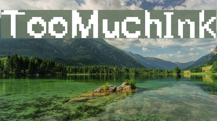 TooMuchInk Font examples