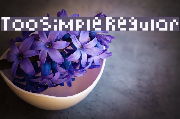 TooSimple Regular Example 2