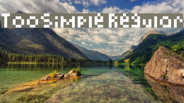 TooSimple Regular Example 3