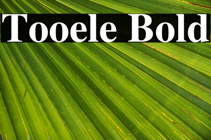 Tooele Bold Example 1