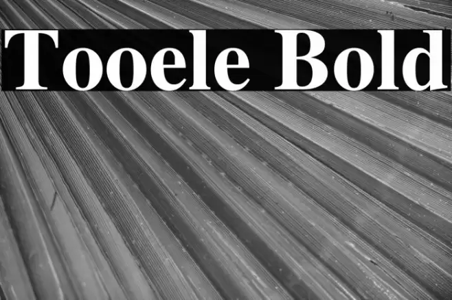 Tooele Bold Font examples