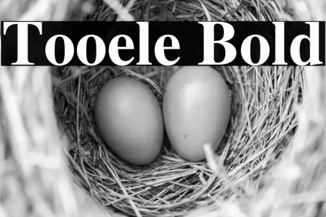 Tooele Bold Font examples