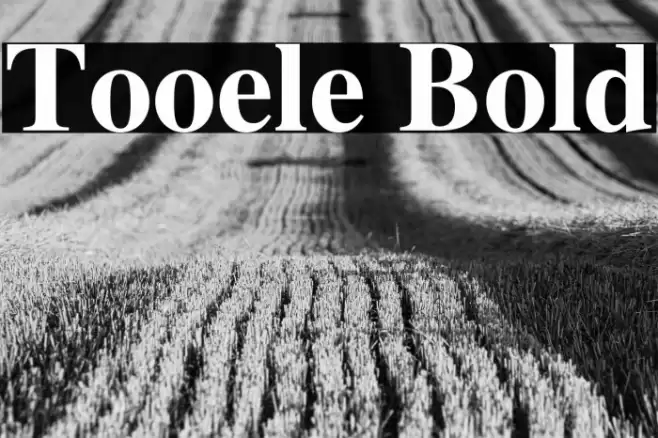 Tooele Bold Font examples