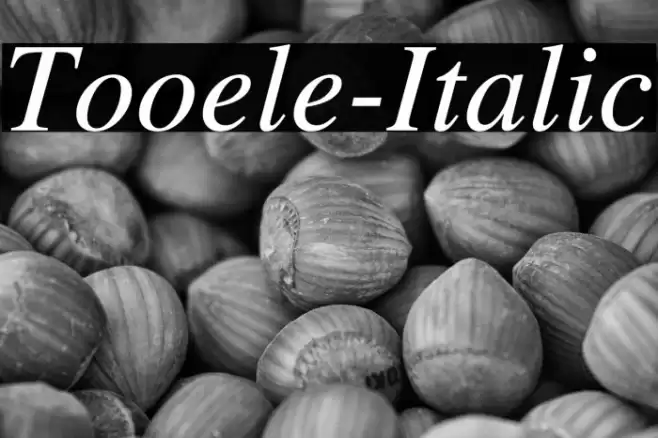 Tooele-Italic Caratteri examples