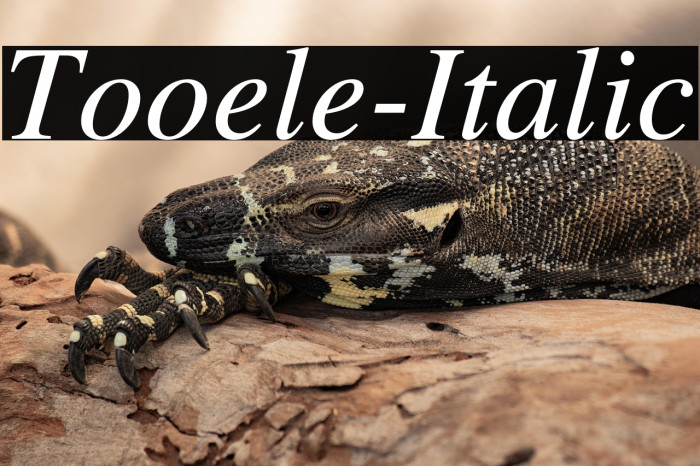 Tooele-Italic Example 3