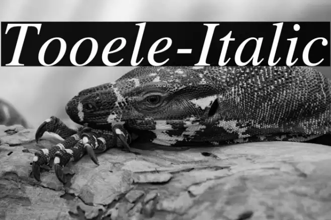 Tooele-Italic Caratteri examples