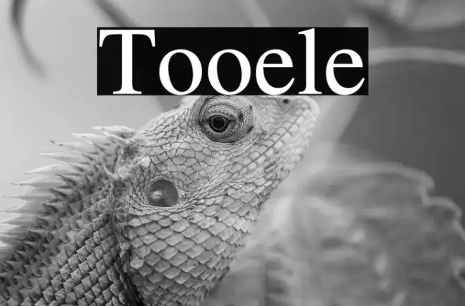 Tooele Font examples