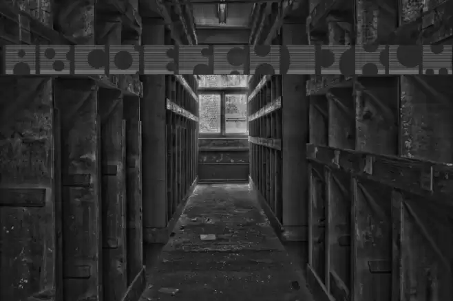 Toolego-Mirage Fonte examples