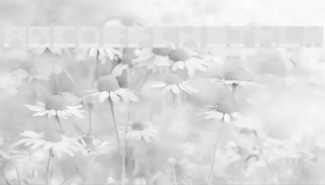 Toolego-Mirage Fonte examples