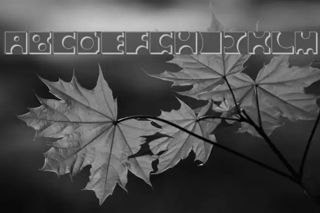 Toolego-Shadow Font examples