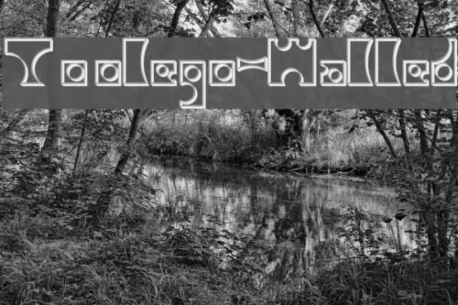 Toolego-Walled Font examples